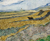 Vincent van Gogh - Enclosed Field with Ploughman, October 1889