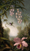 Martin Johnson Heade - Orchids and Spray Orchids with Hummingbirds, about 1875-90